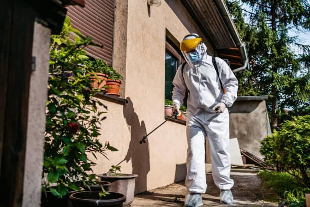 Best Residential Pest Control  in Eyota, MN