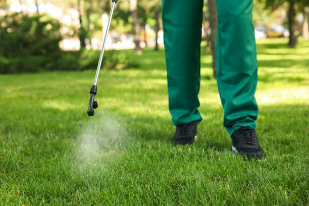 Best Residential Pest Control  in Eyota, MN