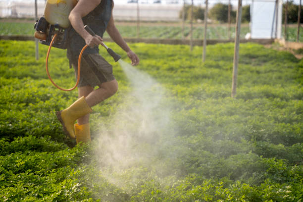 Best Exterminator Services  in Eyota, MN