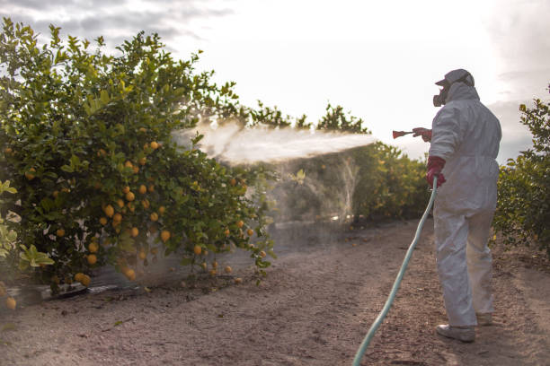 Best Flea Control Services  in Eyota, MN
