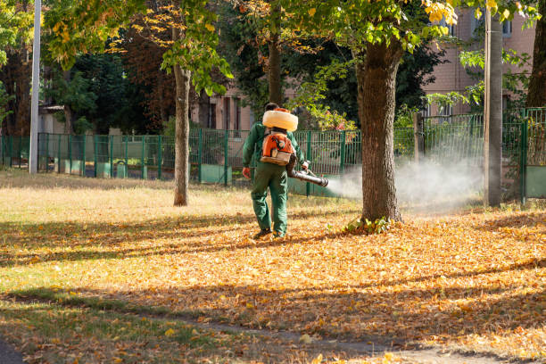 Best Best Pest Control Companies  in Eyota, MN