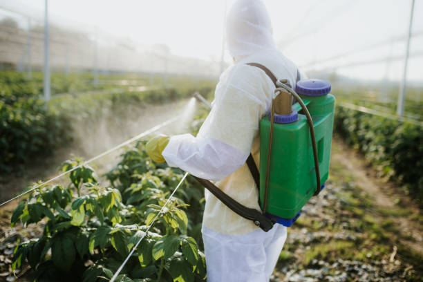 Best Exterminator Services  in Eyota, MN